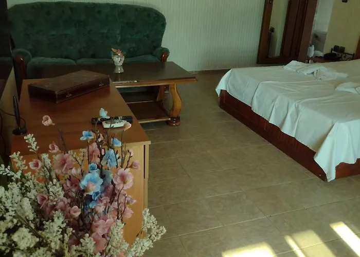 Отель Family Black Sea Солнечный берег